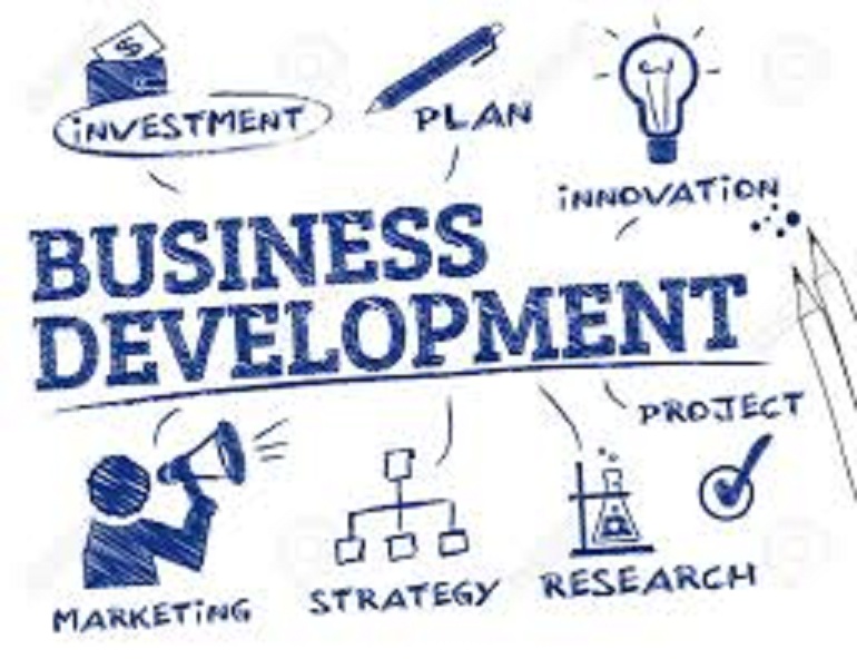Businesses Developing Plan