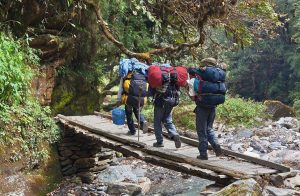 Annapurna Region Trekking