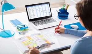 Schema Markup