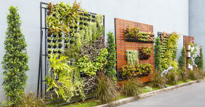 Vertical Gardens