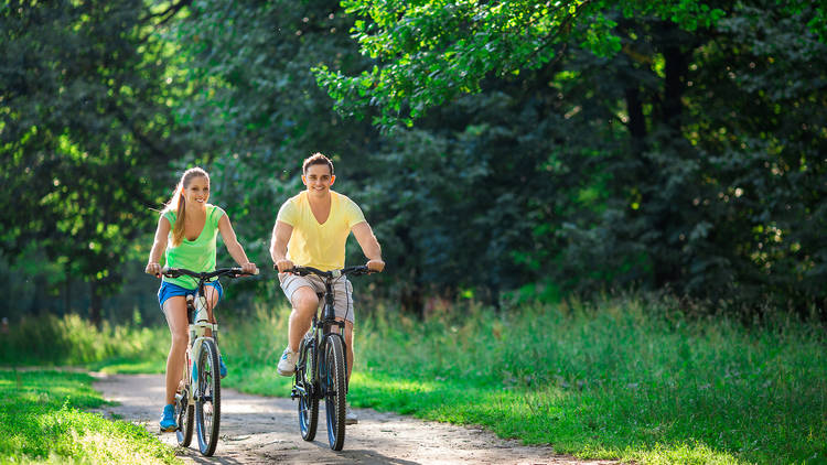 Bicycle Rent Cycle