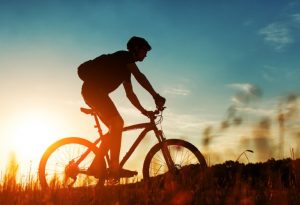Rent Cycle