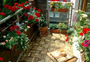 Balcony Garden