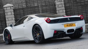Car Plate