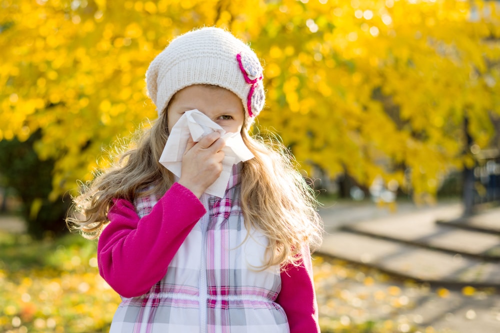 Symptoms of a bifid nose