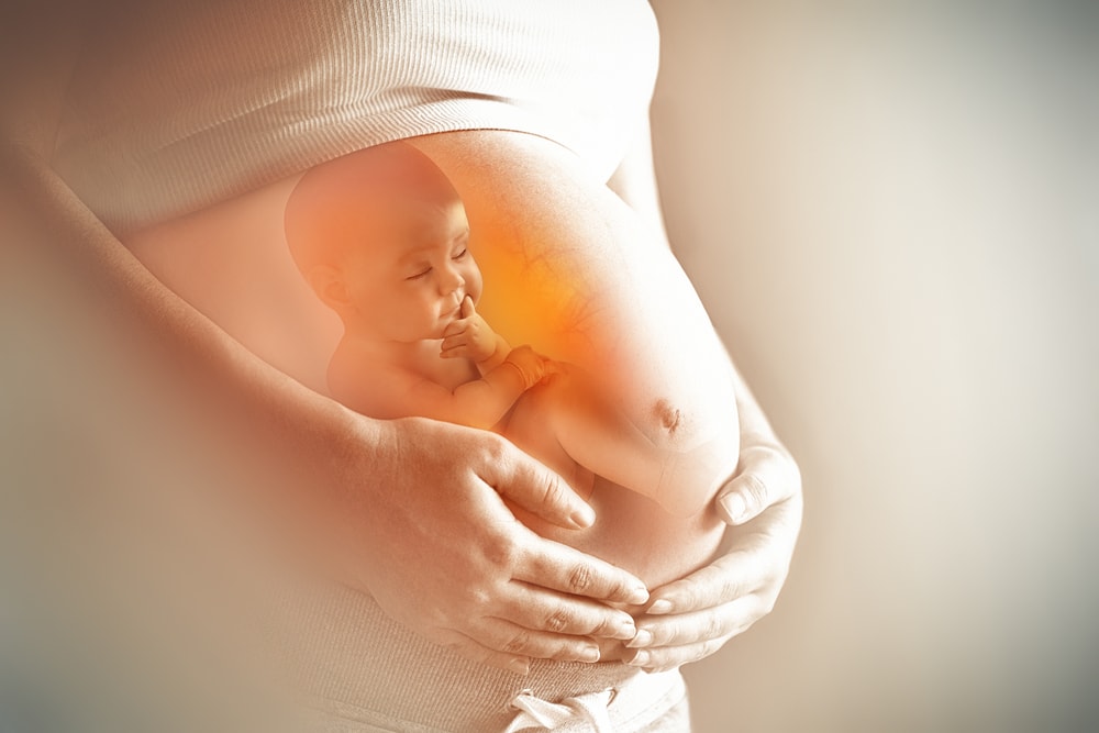 IVF Stage 6 Embryo improvement