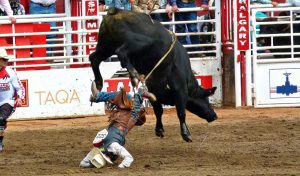 Dangerous Sports