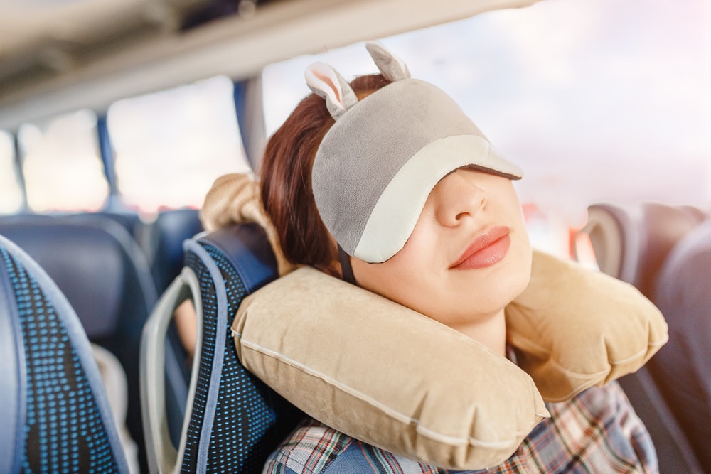 Travel Pillow