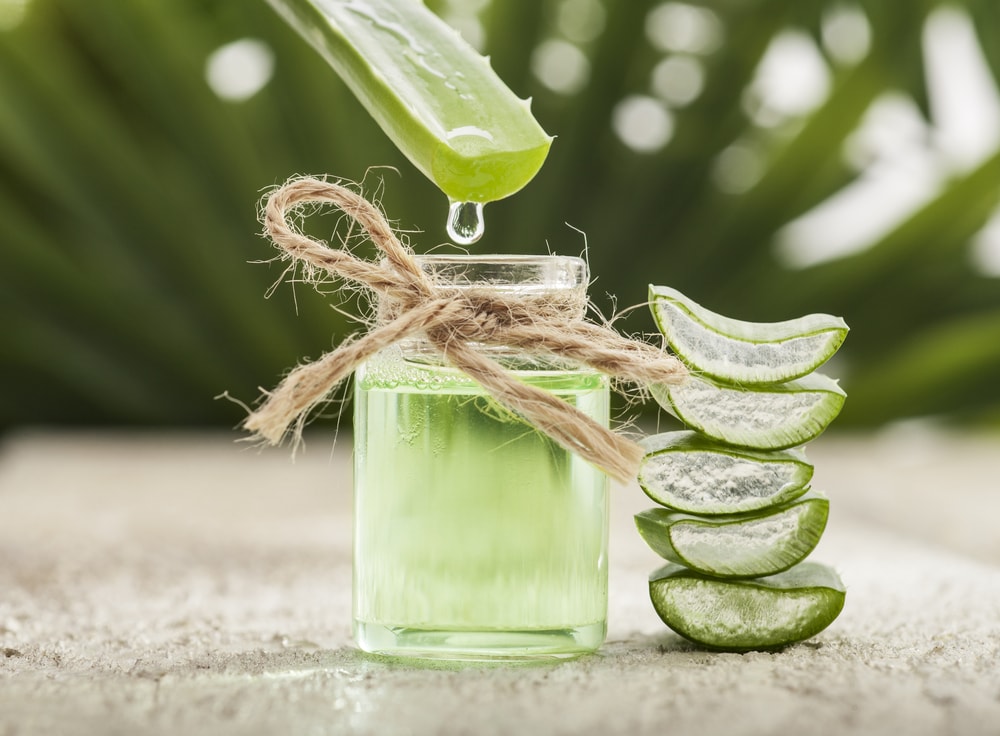 Aloe Vera for pimples