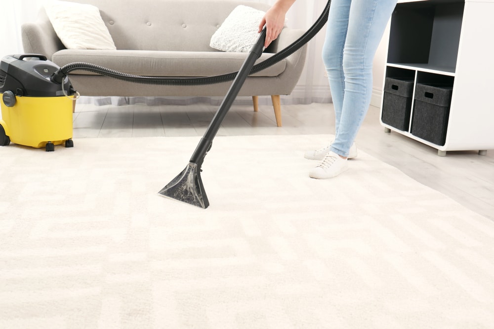 dry Carpet Cleaning