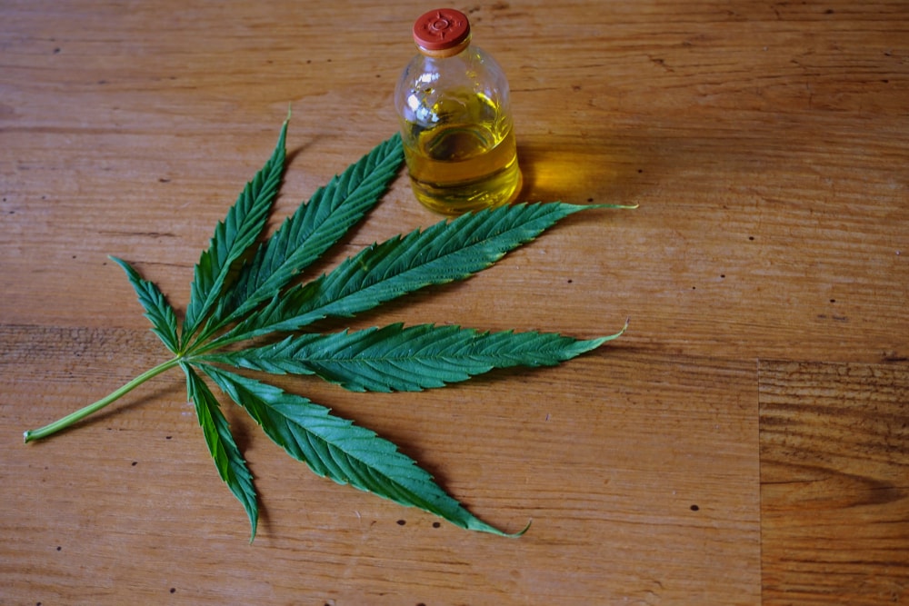 Hemp Oil at Home