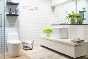 Bidet Home