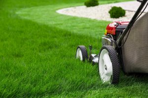 Lawn Mower