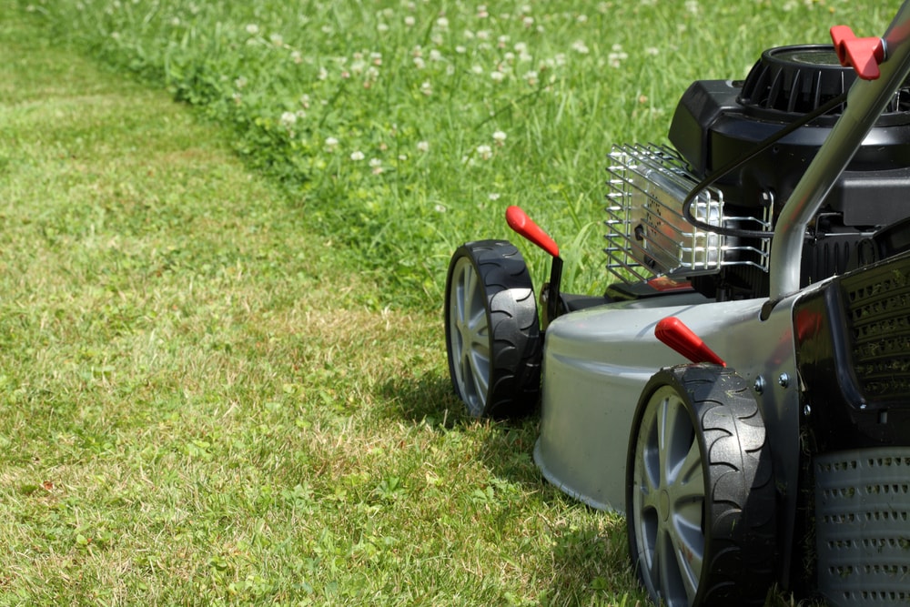 Few Guidelines Push Mowers