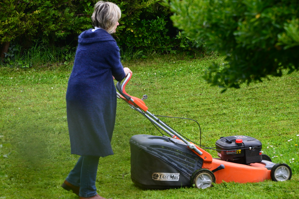 Electric Lawn Mower