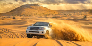 Safari Desert Dubai National Park An Unforgettable Adventure