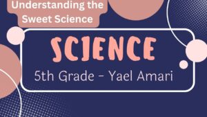 Understanding the Sweet Science