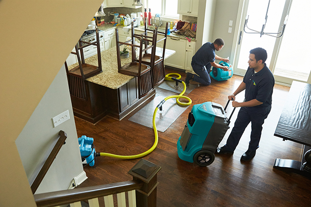 Top-5-Water-Damage-Restoration-Companies-in-Fort-Myers-FL-