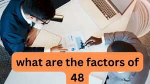 what are the factors of 48
