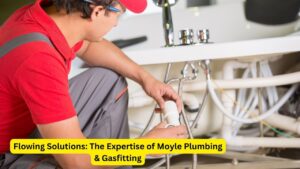 Flowing Solutions: The Expertise of Moyle Plumbing & Gasfitting