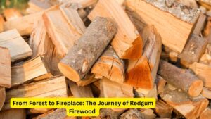 From Forest to Fireplace: The Journey of Redgum Firewood 