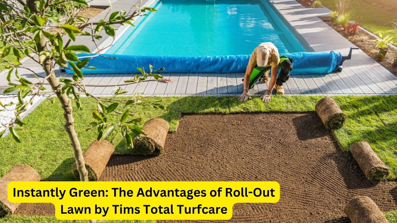 Instantly Green: The Advantages of Roll-Out Lawn by Tims Total Turfcare