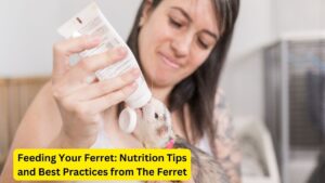 Nutrition Tips and Best Practices from The Ferret