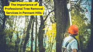 The Importance of Professional Tree Removal Services in Pennant Hills