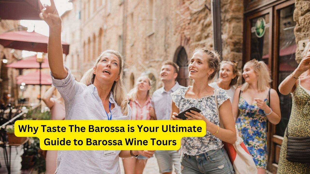 Why Taste The Barossa is Your Ultimate Guide to Barossa Wine Tours