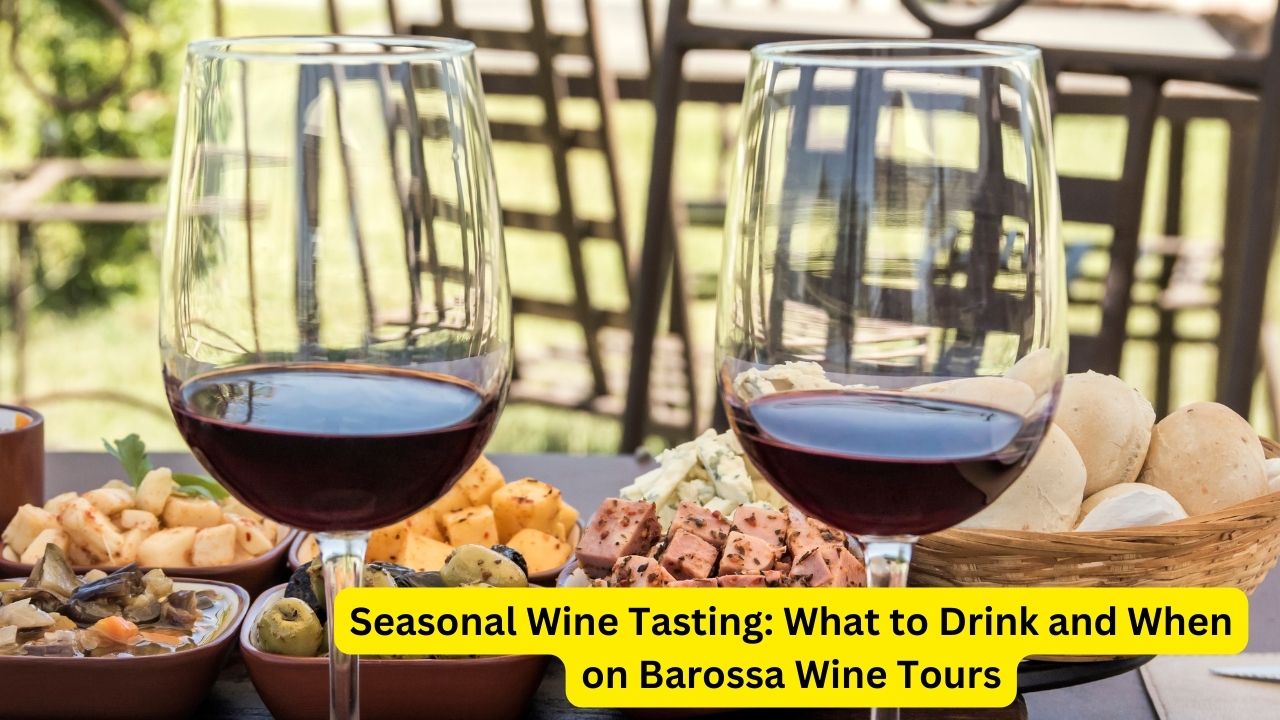 Seasonal Wine Tasting: What to Drink and When on Barossa Wine Tours