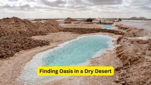 Finding Oasis in a Dry Desert: