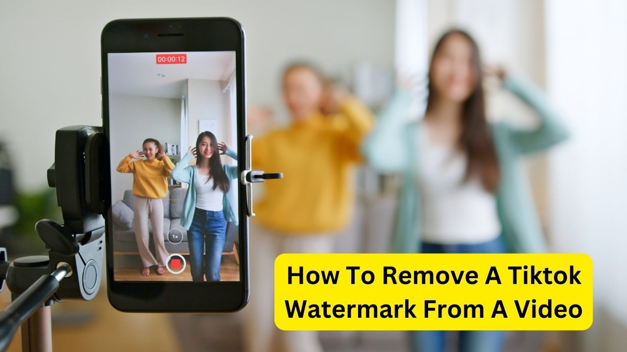 How To Remove A Tiktok Watermark From A Video