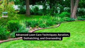Advanced Lawn Care Techniques
