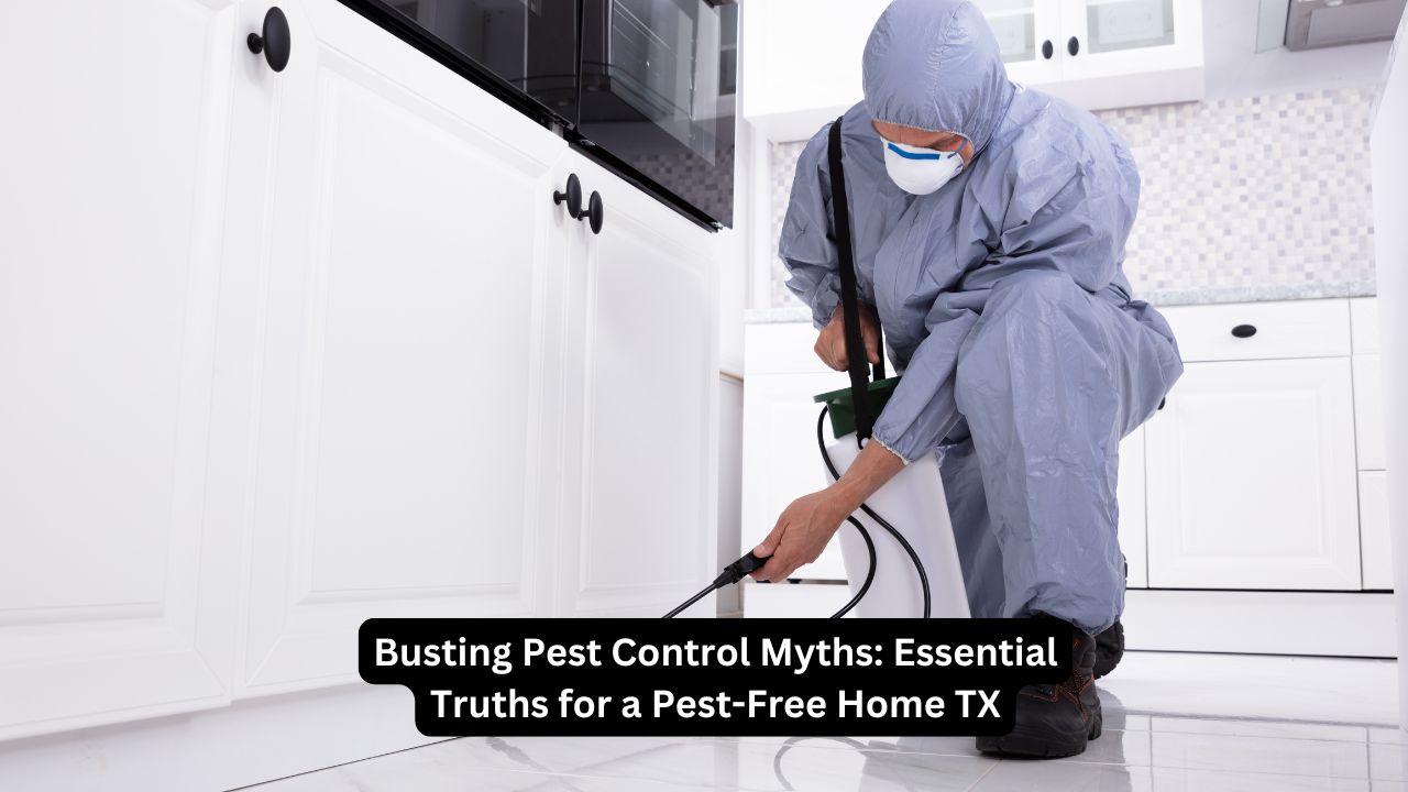 Busting Pest Control Myths