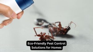 Eco-Friendly Pest Control Solutions for  Homes