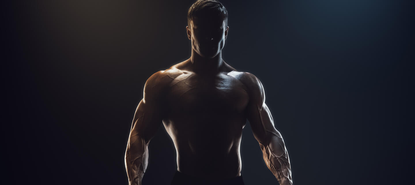 Muscle-Growth