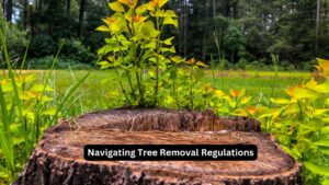 Navigating Tree Removal Regulations