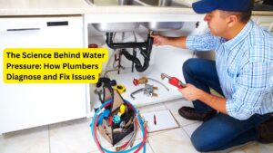 Plumbers Diagnose and Fix Issues