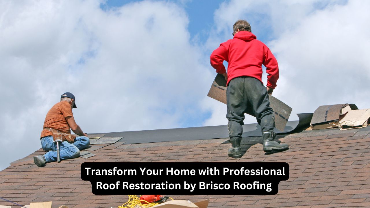Professional Roof Restoration