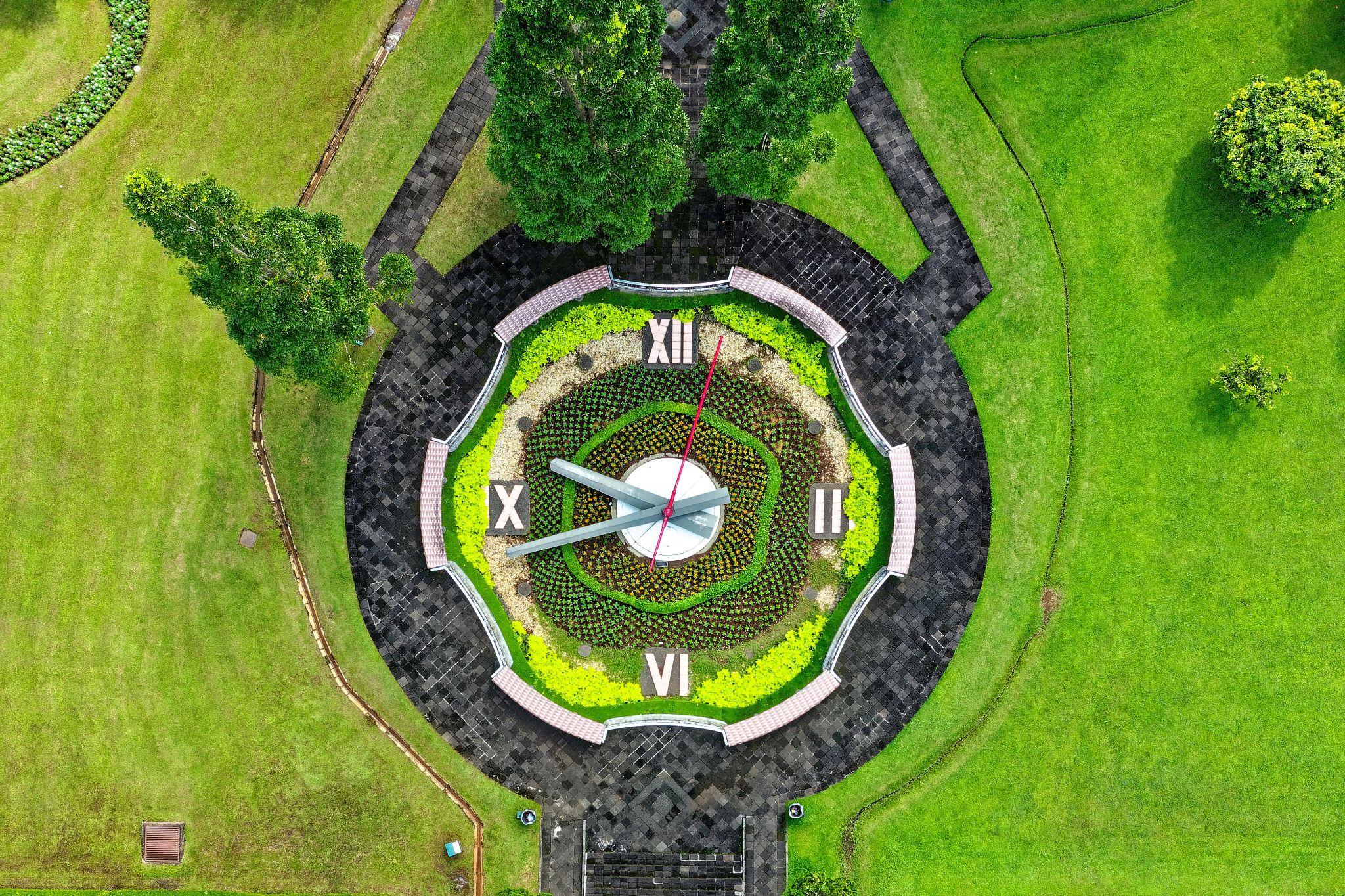 ty66
