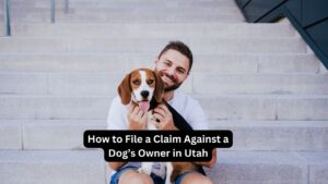 How to File a Claim Against a Dog’s Owner in Utah