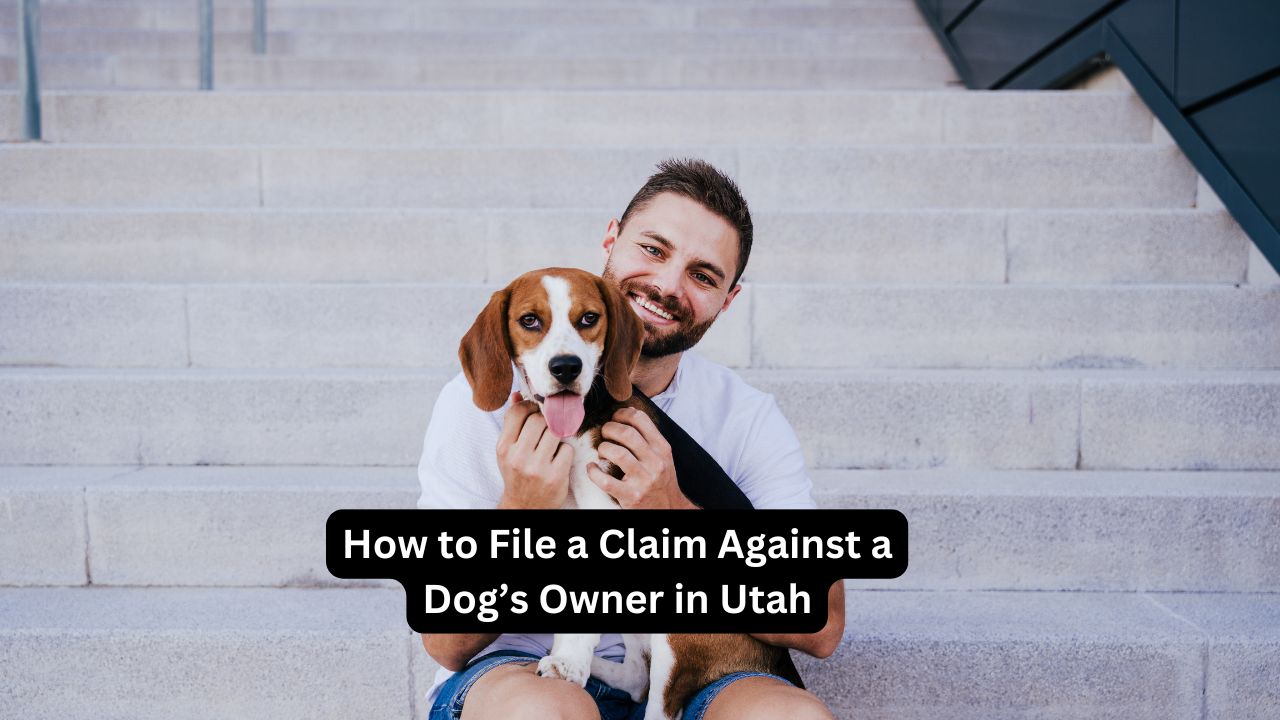 How to File a Claim Against a Dog’s Owner in Utah