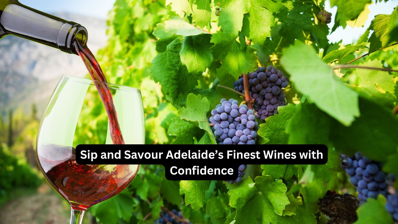 Sip and Savour Adelaide’s Finest Wines with Confidence