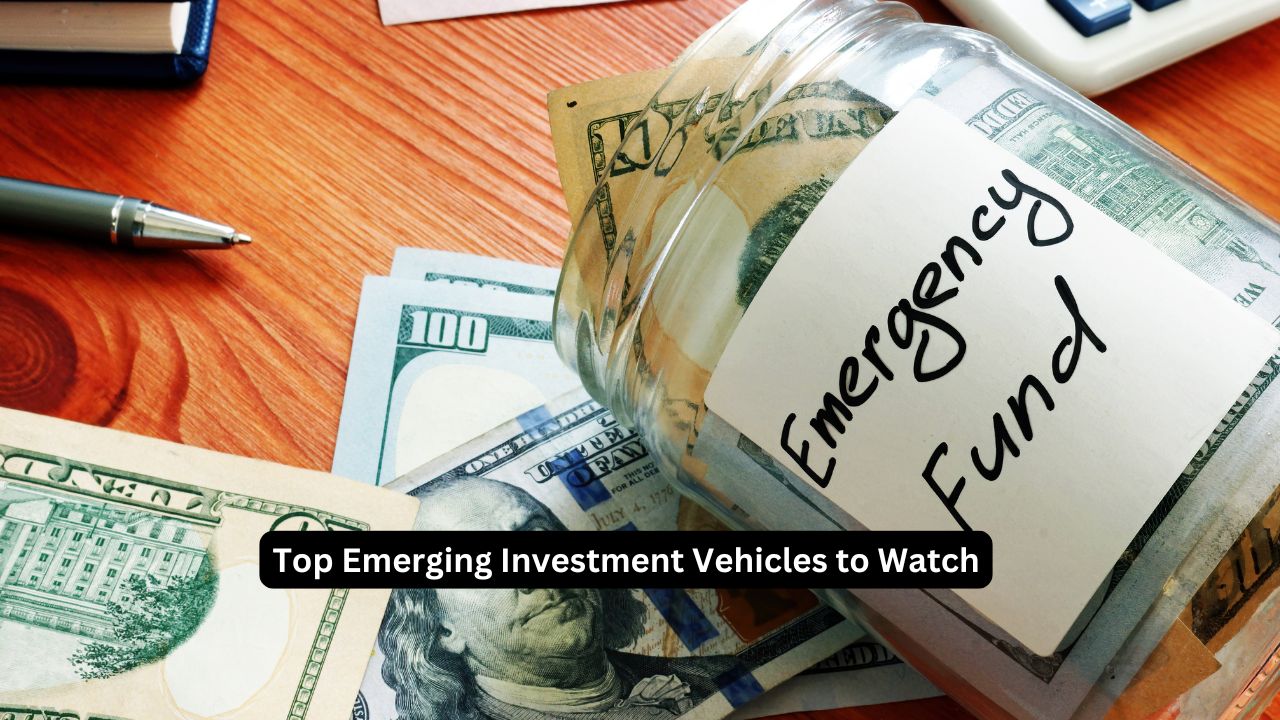 Top Emerging Investment Vehicles to Watch