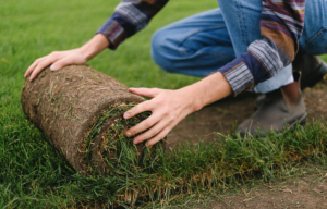 sod-landscaping-in-annapolis-1030x658