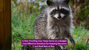 Critter-Proofing Your Texas Home on a Budget: Cost-Effective Solutions for Keeping Raccoons and Roof Rats at Bay