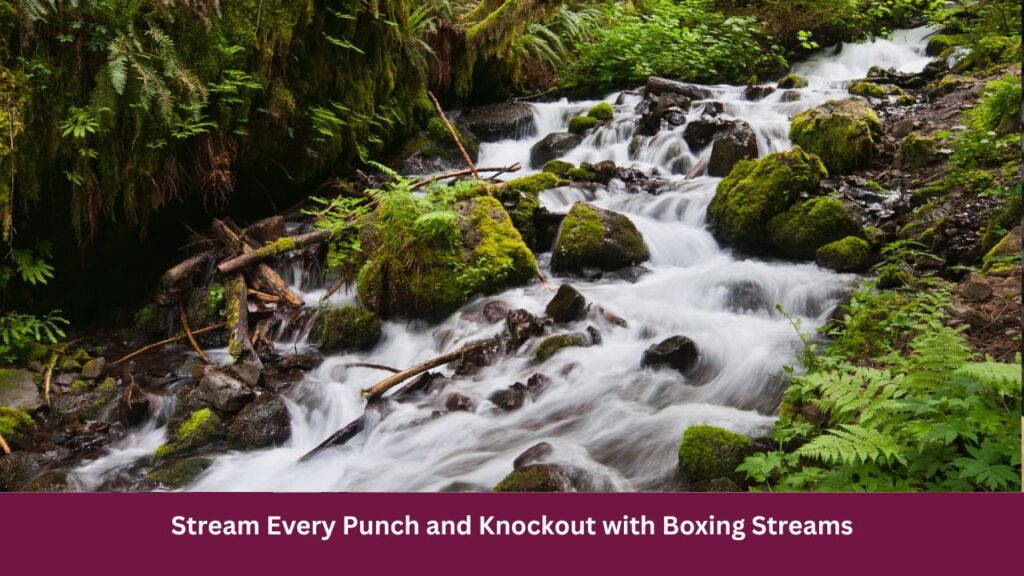 Boxing Streams