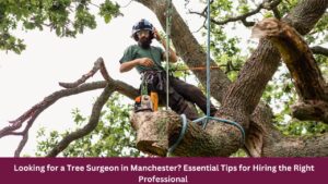 Essential Tips for Hiring the Right Professional