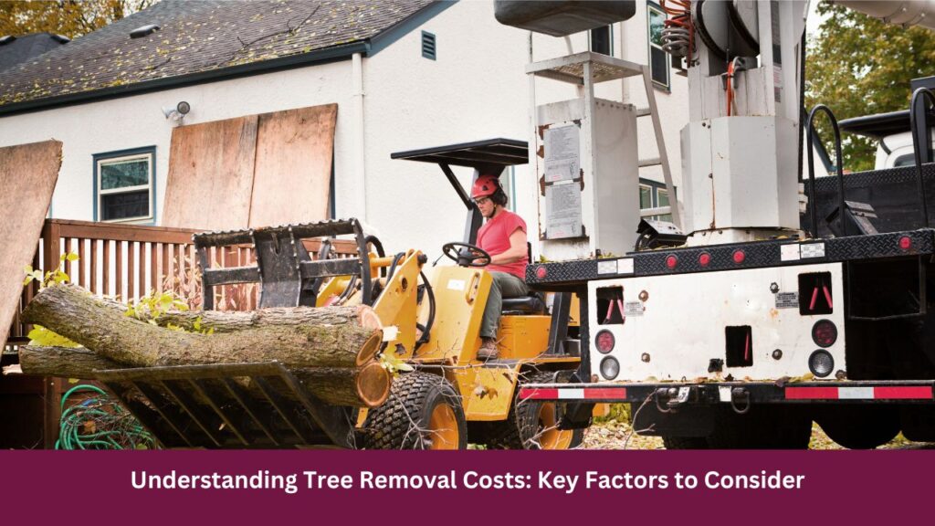Understanding Tree Removal Costs