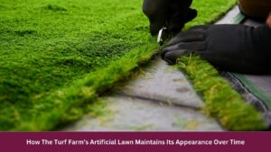How The Turf Farm’s Artificial Lawn Maintains Its Appearance Over Time